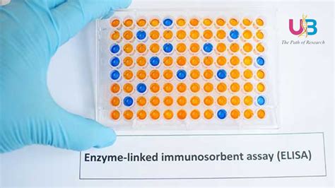 elisa in the big insertion|how to use elisa.